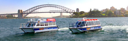H2O Maxi Water Taxi Fleet